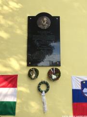 Razkritje spominske plošče dr. Mirka Lenaršiča 3